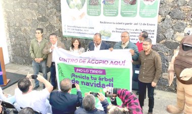 Lanza la UAEM campaña de  acopio de árboles navideños