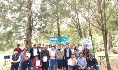 Productores de aguacate de Ocuituco y Yecapixtla ya quedaron certificados