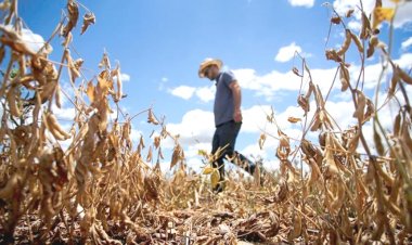 Campesinos temen graves secuelas este año también por falta de lluvia