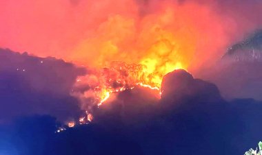 Van 3 incendios forestales este año; se preparan para el estiaje