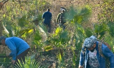 En la Sierra Monte Negro se impulsan los proyectos productivos por parte de la SDS