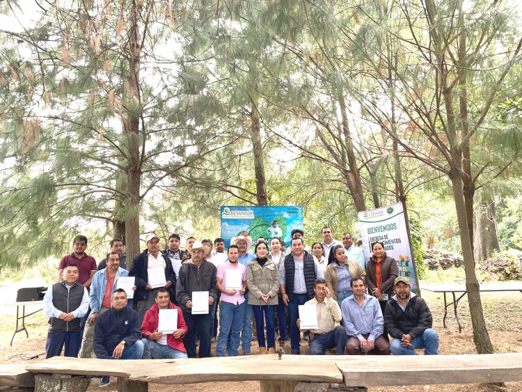 Productores de aguacate de Ocuituco y Yecapixtla ya quedaron certificados