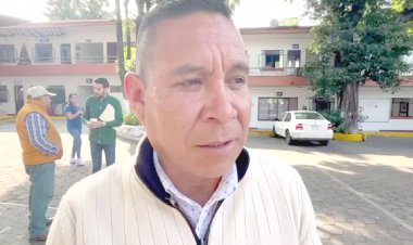 Productores de Cuernavaca pierden 30 por ciento de aguacates