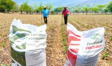 Funcionarios de Sader y Sedagro se están robando fertilizante, apuntan