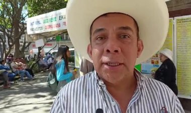 Los fríos también dañaron cultivos, dicen productores