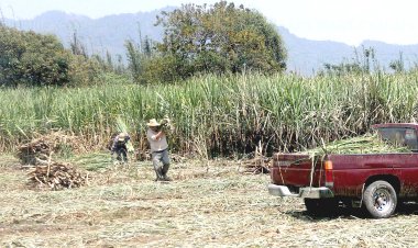 Campesinos creen que agua almacenada será insuficiente