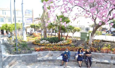 Sedatu reconoce que han faltado obras por realizar