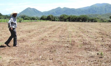 Campesinos están planeando retrasar su ciclo de siembras