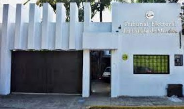 En este 2024, 70 impugnaciones ante el TEE