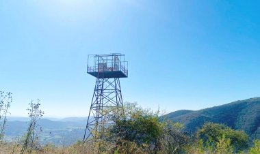 Reparan torres de vigilancia en área de la Sierra Monte Negro