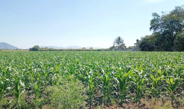 Sector agrario enfrentará  nueva crisis por el agua