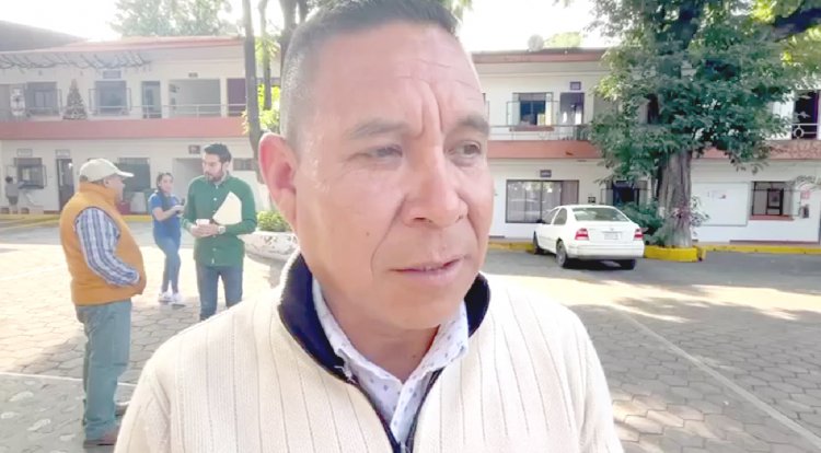 Productores de Cuernavaca pierden 30 por ciento de aguacates
