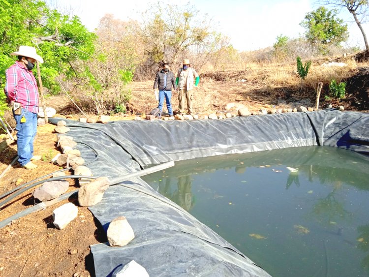 Habrá apoyo gubernamental para construir ollas de agua
