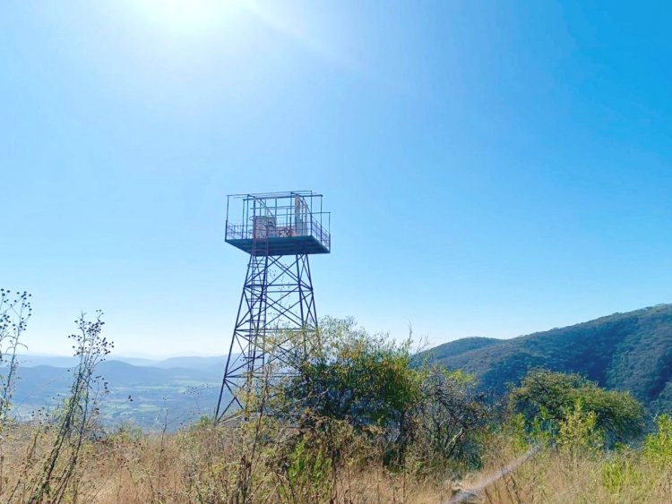 Reparan torres de vigilancia en área de la Sierra Monte Negro
