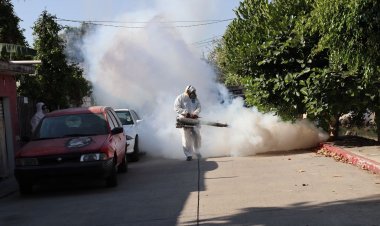 En Jiutepec se intensifican acciones de nebulización