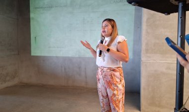 Lamentan drástica caída en  industria de la construcción