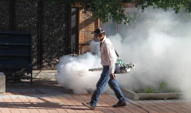Dicen en Yecapixtla que atacan dengue, y en la Ayala, que redujeron los casos