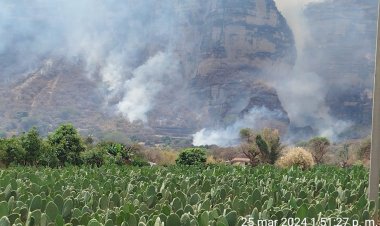 Avanza el control del incendio en cerro Tlatoani, en Tlayacapan