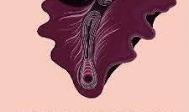 Divulvadoras resaltan los  retos de futura gobernante