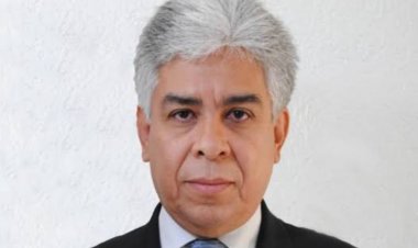 Representación limitada de  grupos vulnerables del estado