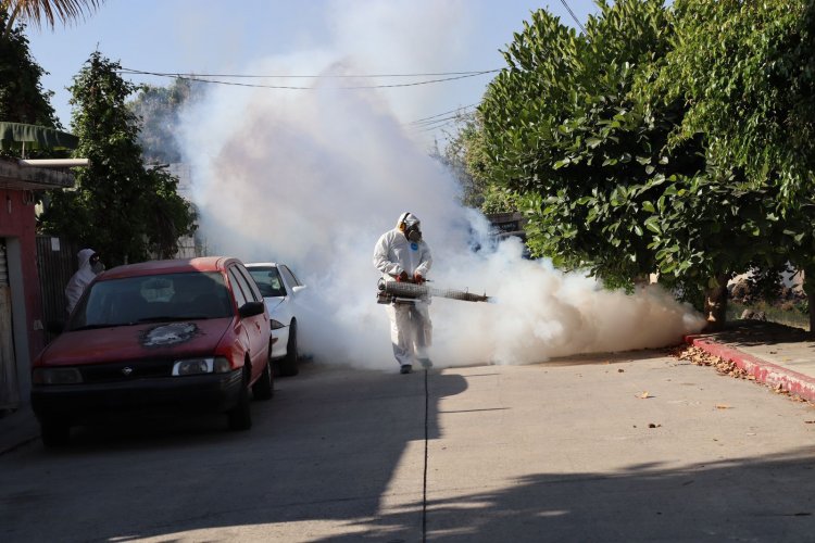 En Jiutepec se intensifican acciones de nebulización