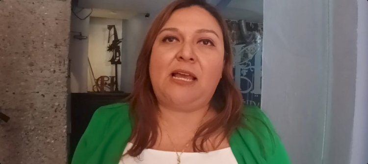 No dará la reelección RSP  a Erika Hernández Gordillo