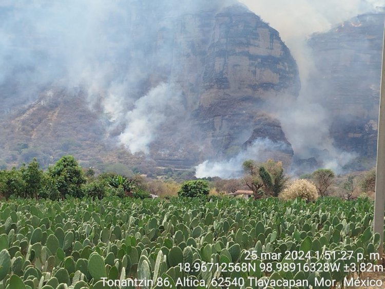 Avanza el control del incendio en cerro Tlatoani, en Tlayacapan
