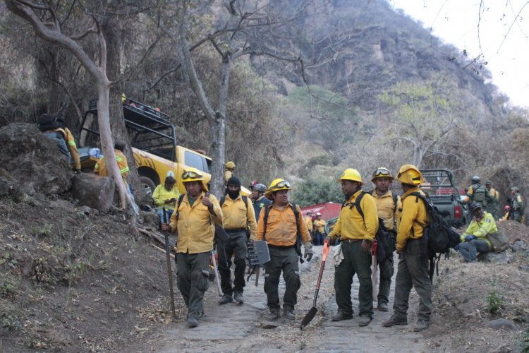 Controlan las autoridades los  incendios forestales en Morelos