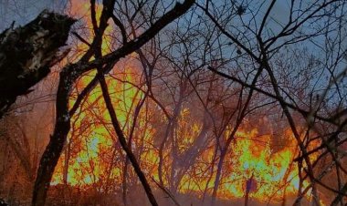 Morelos inicia abril con un incendio forestal