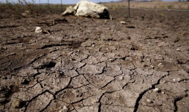 Hay 22 municipios con sequía  moderada; en el resto, grave