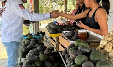 Con Agustín Alonso como diputado federal, seguirá la Cuarta Transformación