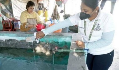 Dicen en Ayala que están luchando con mosco transmisor del dengue