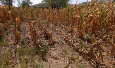 Se quejan campesinos por desatención durante crisis