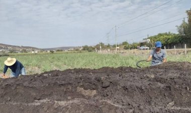 Mujeres cañeras crean biofertilizante y forman cooperativa, según anuncian