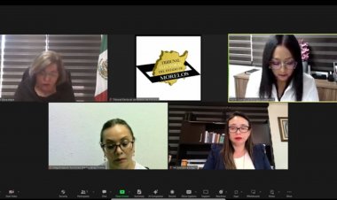 Sanciona Tribunal a Lucía Meza por actos anticipados de campaña