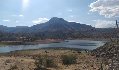 Muy poca agua en presas; hay desperdicio en siembra