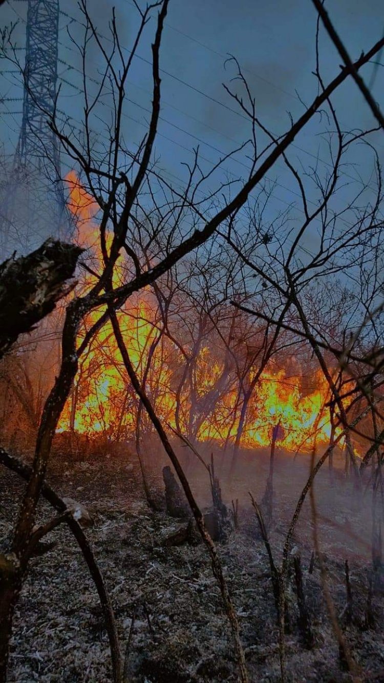 Morelos inicia abril con un incendio forestal