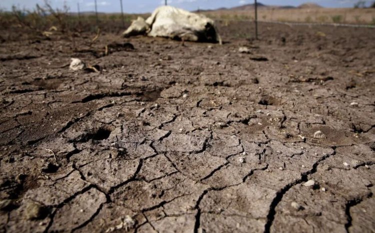 Hay 22 municipios con sequía  moderada; en el resto, grave