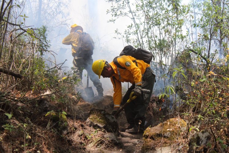 Van en este año 72 incendios forestales en Morelos; 5 activos