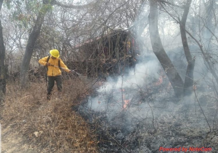 Dos incendios forestales se registraron en Yautepec