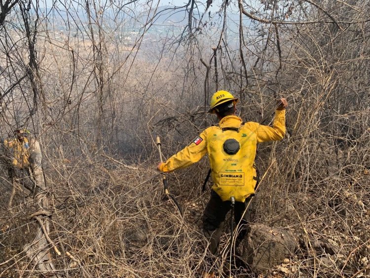 Golpean incendios forestales  en el municipio de Yautepec