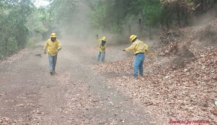 Padecieron fuegos forestales Tlalnepantla y Tepoztlán