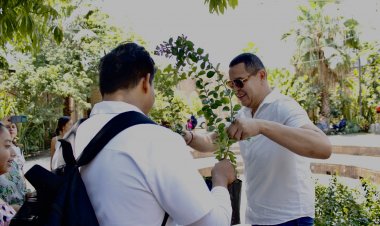 Cambia Juan Ángel Flores entrega de propaganda por árboles de la región