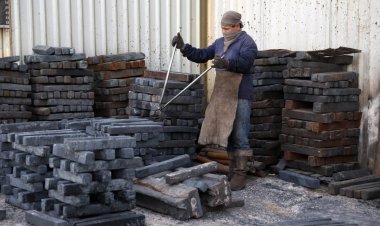 12 mil empresas, adheridas a programa ELSSA del IMSS