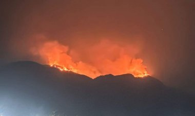 Siguen golpeando incendios forestales en puntos varios