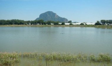 Con apenas 25 por ciento de su capacidad, 19 presas