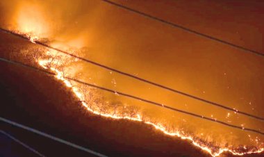 Batallan con incendio forestal en Huitzilac