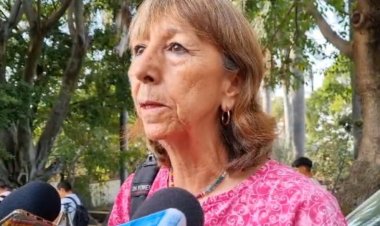 Acusan atentado por violación arbórea de hasta tres decenas