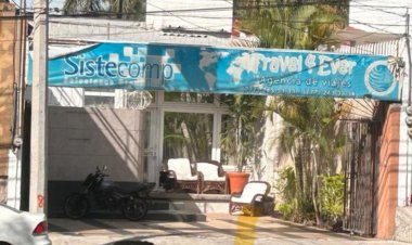 Autoridades alistan acciones contra veterinaria de Cuernavaca por presunto maltrato animal