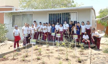 Enseñan a niños de Zapata la importancia de polinizadores